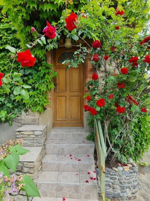 Maison Ideale Pour Une Famille Carcassonne Exterior photo